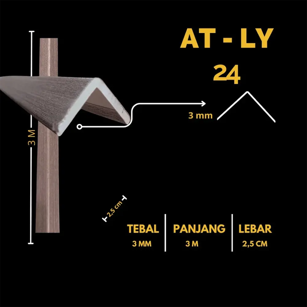 AT LY24